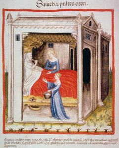 Nova 2644 fol.44v Tacuinum Sanitatis