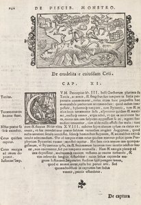 Sayfa 740, Magnus Olaus