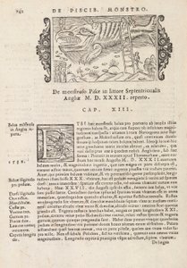 Sayfa 742 Magnus Olaus tarafından yazılan Kuzey Gentivus Tarihinden, Roma 1565 (baskı ve gravür) by Italian School