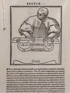 Lodovico Fogliani (1475?-1542) (veya Ludovico Foliani) müzik teorisyeni tarafından Musica theorica
