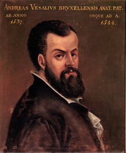 Andre Vesale