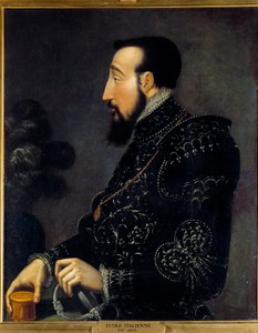 Fransa Kralı II. Henry