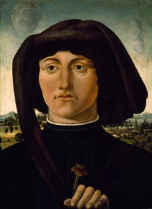 Pembe Çiçekli Genç Bir Adamın Portresi, c.1475-85 (ahşap üzerine tempera) by Italian School