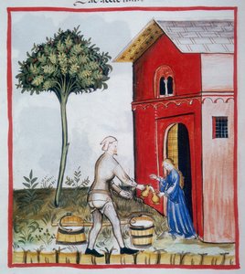 Ekşi süt satışı (c.59v), Tacuinum Sanitatis, Codex Vindobonensis Series Nova 2644 by Italian School