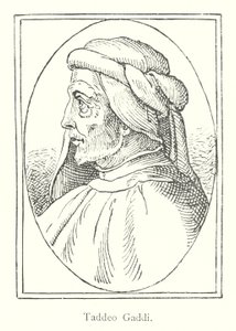 Taddev Gaddi (Gravür) by Italian School