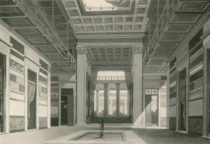 Cassia Evi