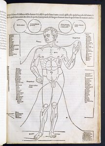 Johannes de Ketham (d.c.1490) tarafından Fascilulus Medicinae