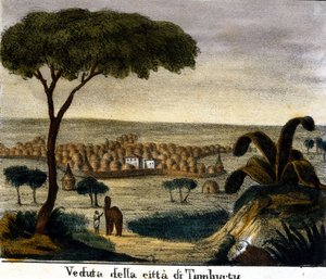 19. yüzyılda Mali