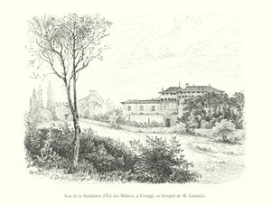 Medici