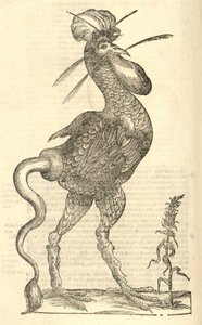 Aldrovandis Canavarlar Tarihi