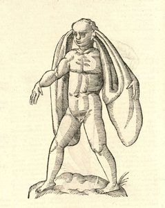Aldrovandis Canavarlar Tarihi
