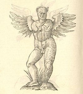 Aldrovandis Canavarlar Tarihinden kanatlı bir canavarın çizimi, 1642 by Italian School