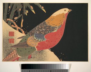  by Ito Jakuchu