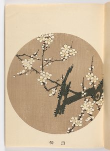 Zayıf ch? Negatif, Meiji Ella, 1908 (DBock p Hayashi t)