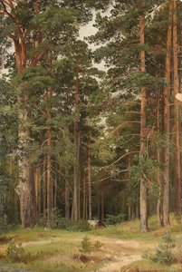 Bir Yaz Günü, Merikiul, 1895 by Ivan Ivanovich Shishkin