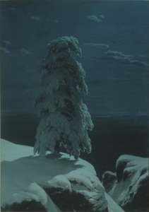 Kuzeyin vahşi doğasında by Ivan Ivanovich Shishkin