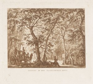 Haarlemmerhout