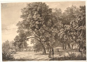 Sorø, Zelanda yakınlarındaki bir Ormanda Bir Yolun Görünümü by Johan Christian Dahl