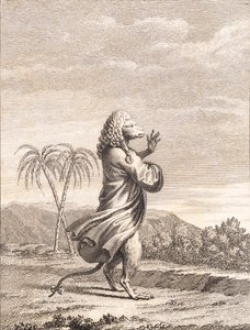 Martinyalı bir avukat by J.F. Clemens