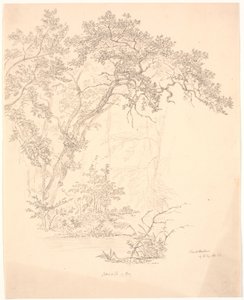 ağaçlar by J.P. Møller