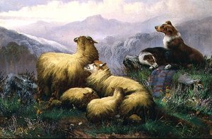 İskoç Dağlık Bölgesinde Çoban Köpekleri ve Koyunlar by J.W. Morris