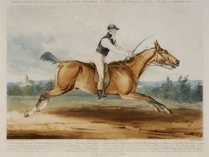Bay William Hutchinson
