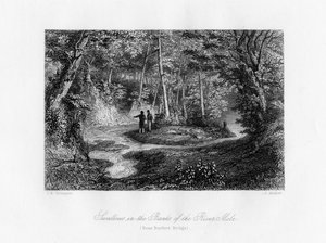 Mole Nehri Kıyısındaki Kırlangıçlar, Surrey, 19. yüzyıl by J. Archer