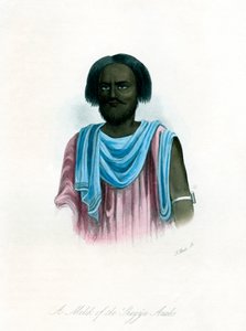 Shegyia Araplarından bir Melik, c1840. by J. Bull