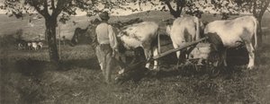Kamera Çalışması: Çiftçilik Ekibi
