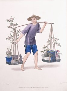 Meyve Ağaçları ve Çiçeklerle Bir Kapıcı, c.1800-01 by J Dadley