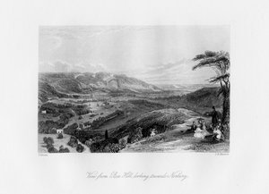 Box Hill