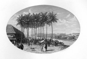 Batavia