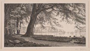 Dyrehaven