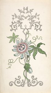 Bir Tutku Çiçeği Merkezli Pano Dekorasyon Tasarımı, 1828-40. by J Hulme