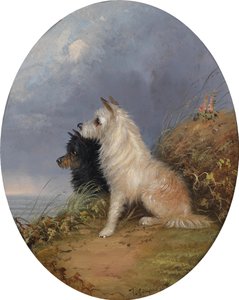 Sahilde iki köpek by J. Langlois