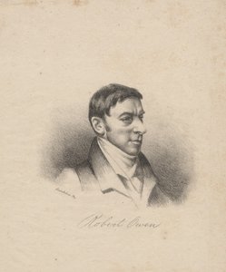 Boz Ayılar, Thomas Doughty tarafından Doughtys The Cabinet of Natural History and American Rural Sports, 1830