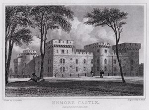 Enmore Kalesi, Somersetshire (gravür) by John Preston Neale