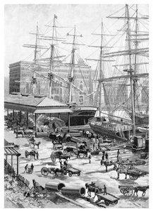 Nakliye, Circular Quay, Sidney, Yeni Güney Galler, Avustralya, 1886.