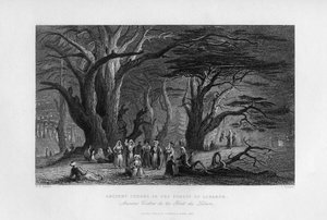 Lübnan Ormanındaki Eski Sedir Ağaçları, 1841