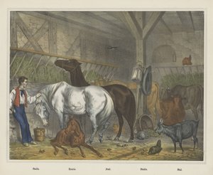 Dur. / Ekşi. / Ahır. / Kararlı. / Stal (nesne üzerindeki başlık) by J. Scotti