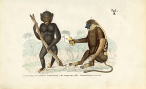  by J. W. Tenhaeff