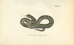  by J. W. Tenhaeff