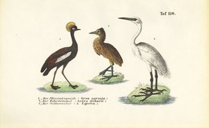  by J. W. Tenhaeff