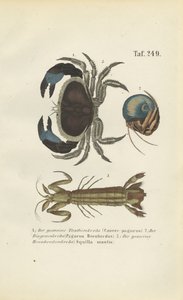  by J. W. Tenhaeff