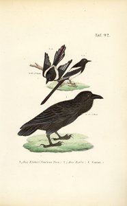  by J. W. Tenhaeff