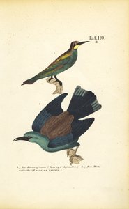  by J. W. Tenhaeff