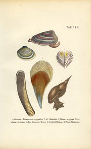  by J. W. Tenhaeff