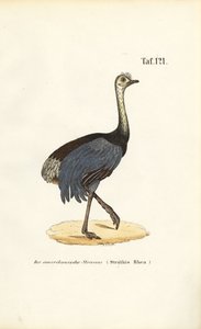  by J. W. Tenhaeff