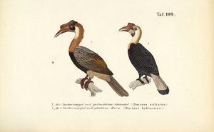  by J. W. Tenhaeff