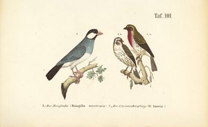  by J. W. Tenhaeff